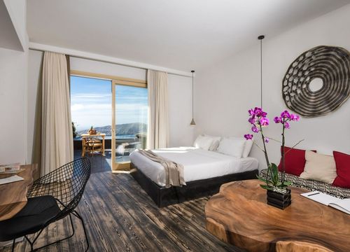 Andronis Concept Wellness Resort suite with view.jpg