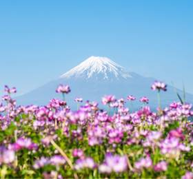 Tokyo: Tour & Hotel Stay