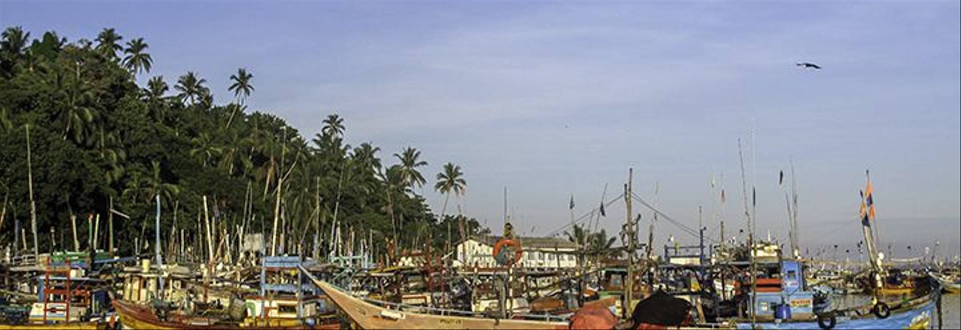 Sri Lanka Mirissa Beach Shore Boats_19034878284-1.jpg