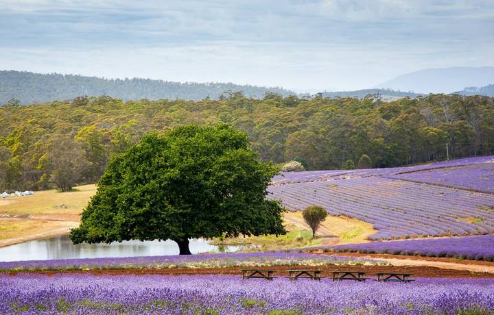 Day7_shutterstock_208193047.jpg Day7_shutterstock_208193047.jpg