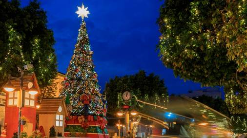 Festive Walking in Western Cyprus