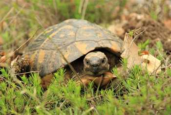 Undiscovered Balkans - Virpazar Nature Walk and Honey Farm2.JPG