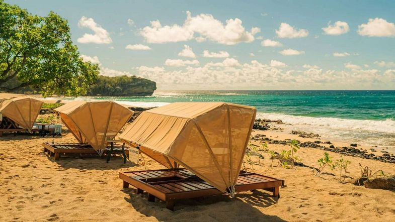 Grand Hyatt Kauai Resort & Spa beach loungers.jpg