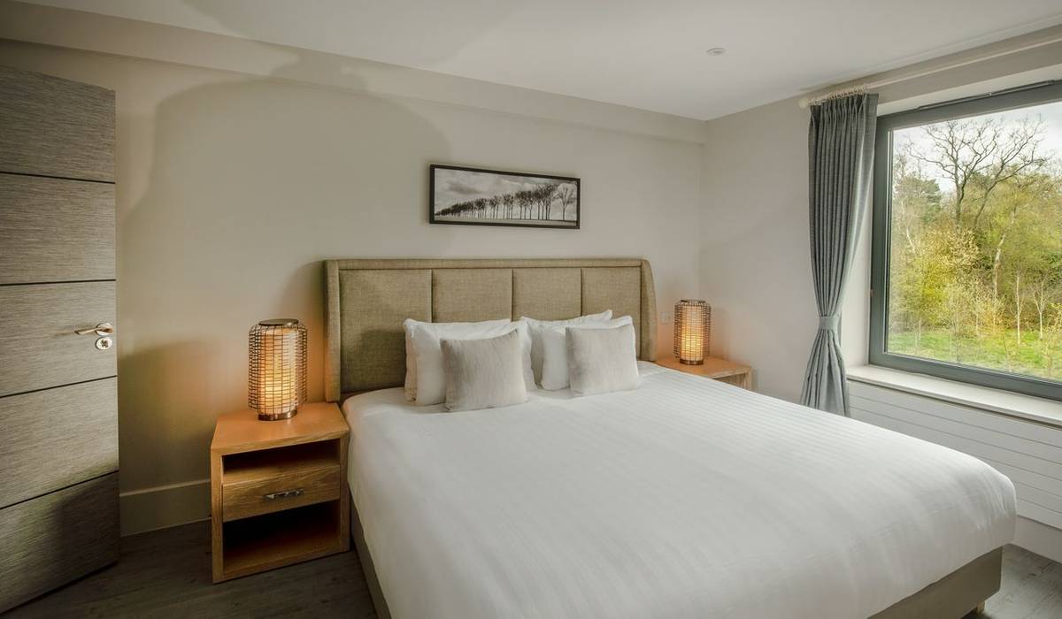 2 or 3 bedroom apartment double room