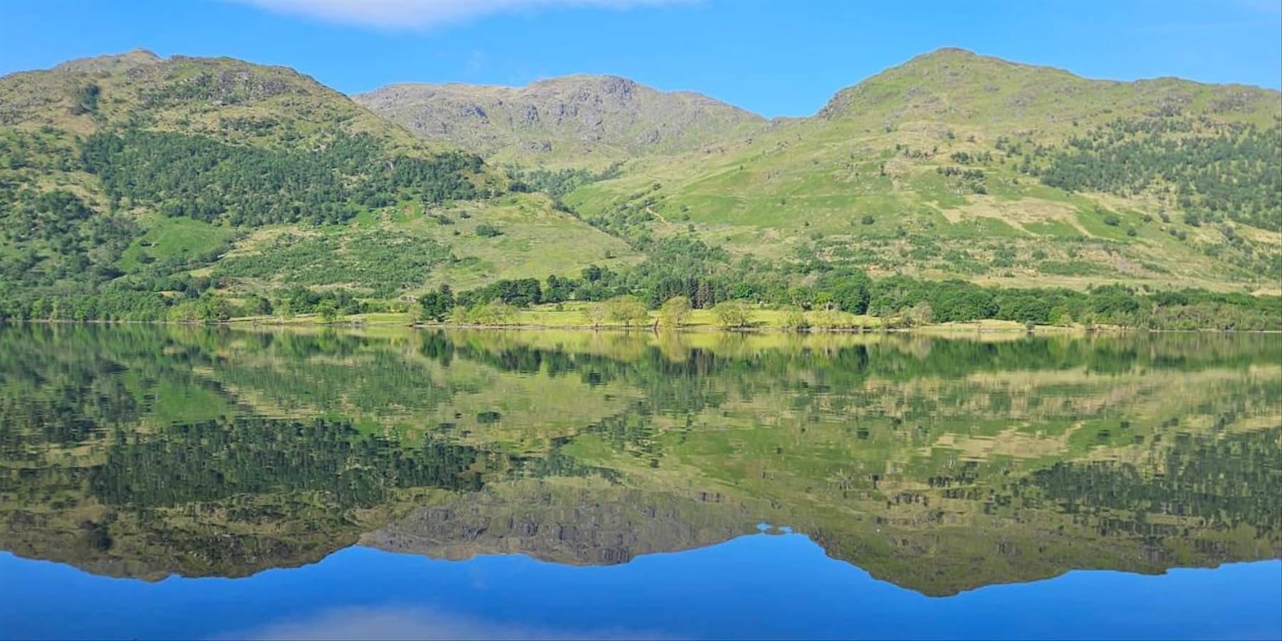 The Naturetrek Stuckindroin Reserve in Scotland