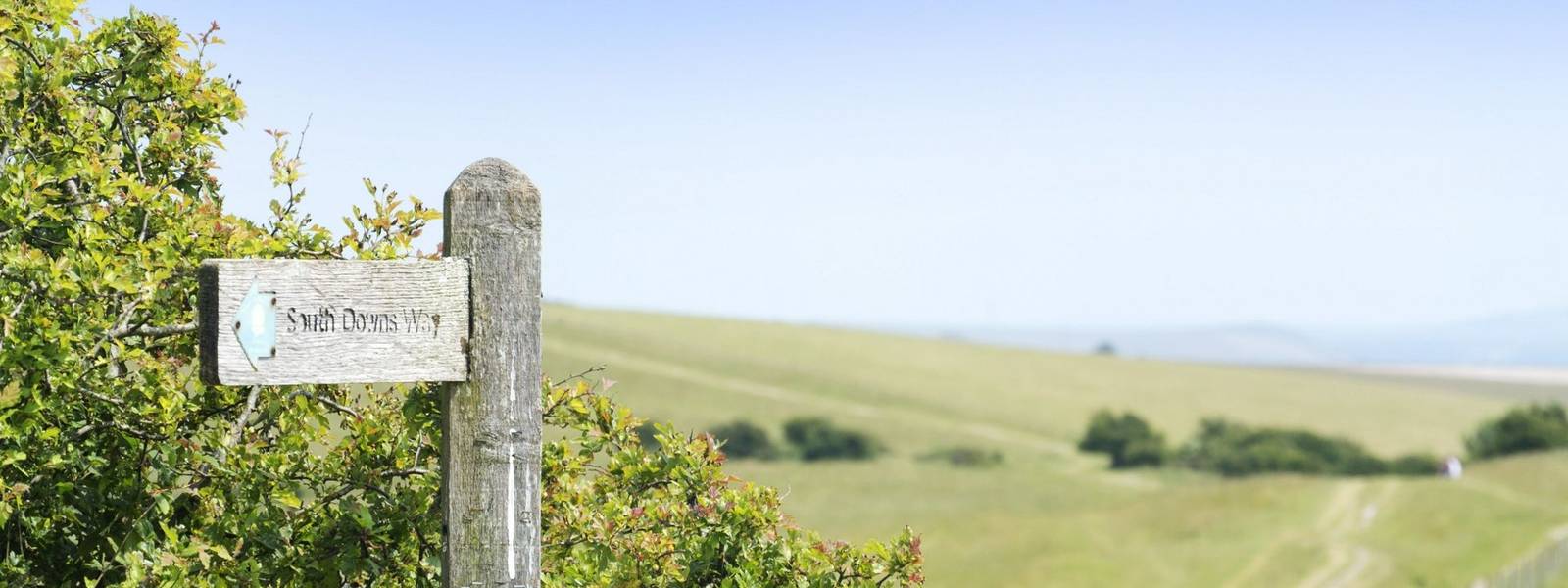 south downs