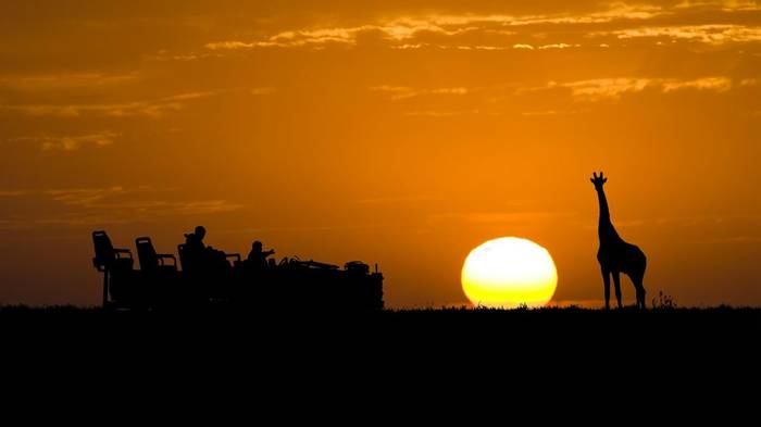 Giraffe and Safari vehicle silhouette, Africa (Jason Prince).jpg