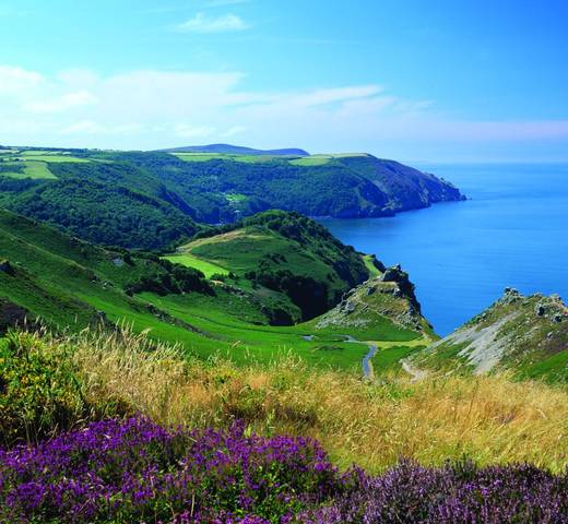 Whitby Investment Members break
