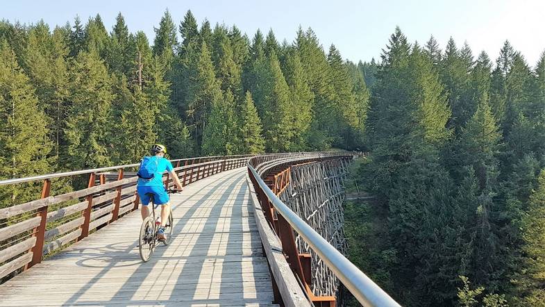 into-the-wild-cycling-tours-vancouver-island-bridge.jpg