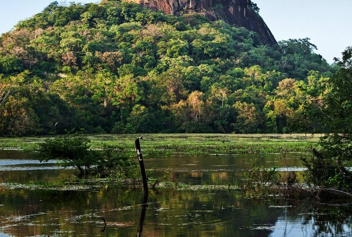 Sigiriya