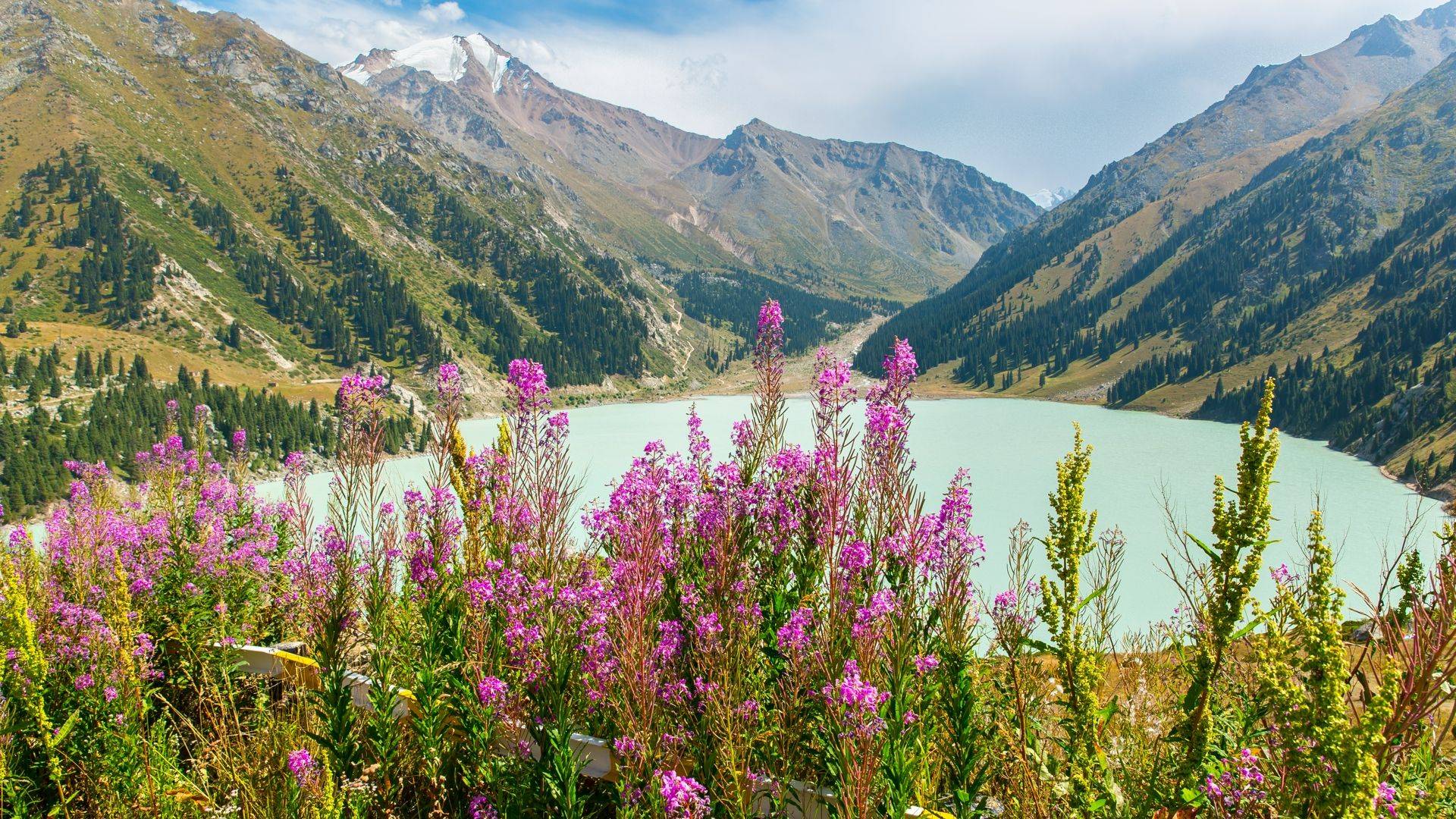 Wildlife Holidays in Kazakhstan for 2020/21 - Naturetrek