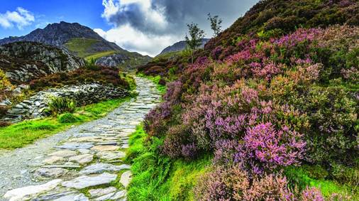 7 Night Southern Snowdonia Guided Walking for Solos 