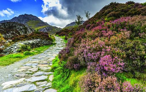 7 Night Southern Snowdonia Guided Walking for Solos 