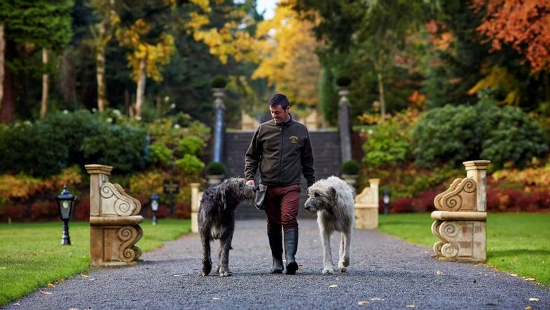 ashford-castle-gardens-dogs.jpg