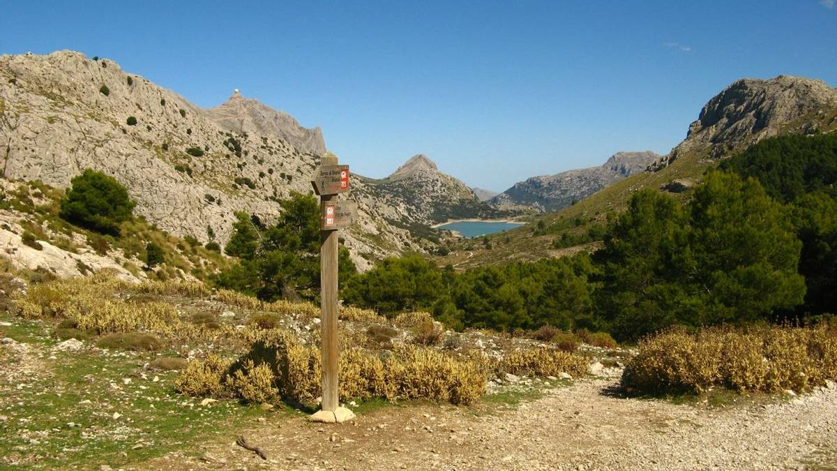 Spain - Mallorca - AdobeStock_10107511.jpeg