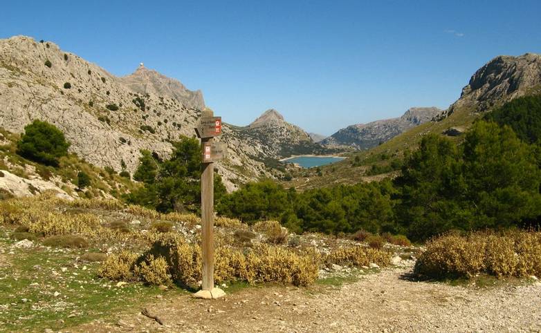 Spain - Mallorca - AdobeStock_10107511.jpeg
