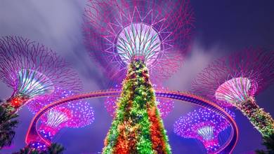Free Flights - Secondary Image.jpg