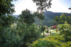 Mahogany Springs (2).jpg