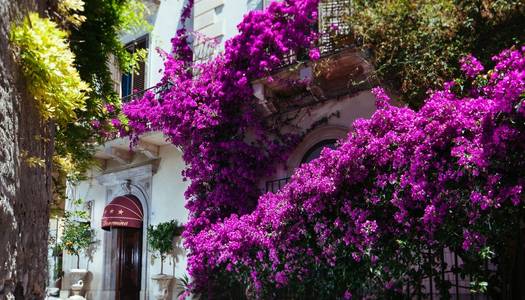 Villa Taormina