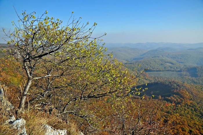 Bukk NP, Hungary. shutterstock_133368173.jpg