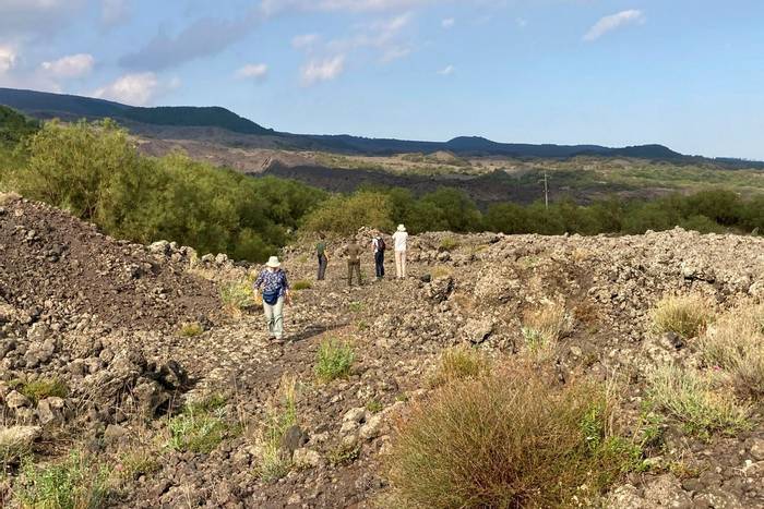 In search of the Sicilian Rock Partridge (Dan Lay)