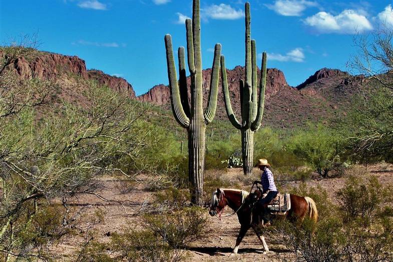 hidden-trails-white-stallion-ranch-arizona-horseback-riding-3.jpg