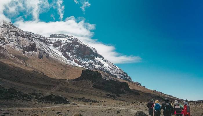 Tanzanian mountain guides leading a group of hikers through the dense jungle on the way to Kilimanjaro