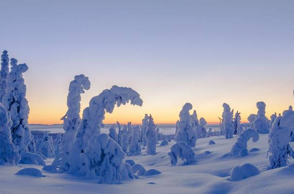 lapland