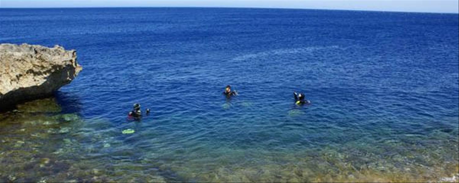 Gozo Snorkelling (1).jpg