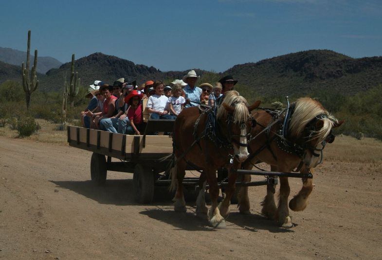 hidden-trails-white-stallion-ranch-arizona-carriage-ride.JPG