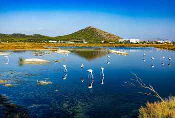 National Park S'Albufera, Mallorca