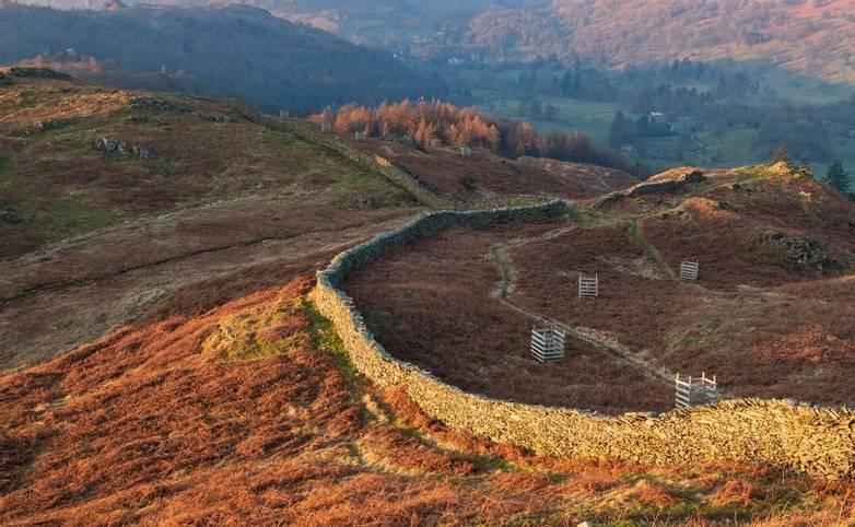 Sunset over dry stone walls and brown bracken on the lower slopes of Loughrigg with the Fairfield Horseshoe in the backgroun…