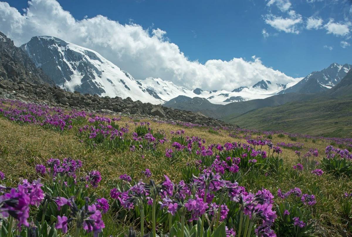 Tien Shan Mountains