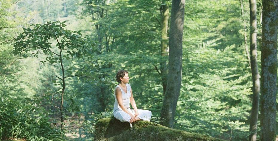 Forest Bathing at Lily of the Valley in France