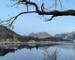 IMG_8334.JPEG