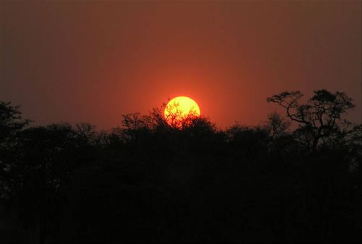Sunset (Thomas Mills)