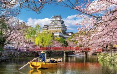 Cherry blossoms and castle in Himeji, Japan.a