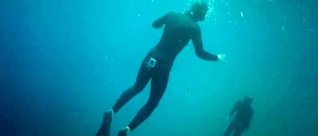 Oceanic Ventures freediving.jpg