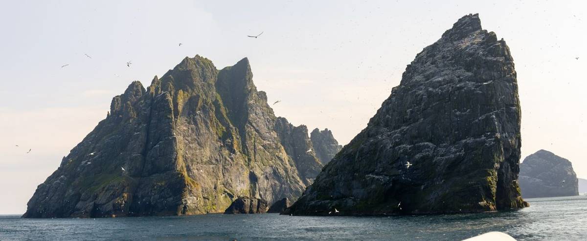 Naturetrek at 40 – A British Isles Celebration