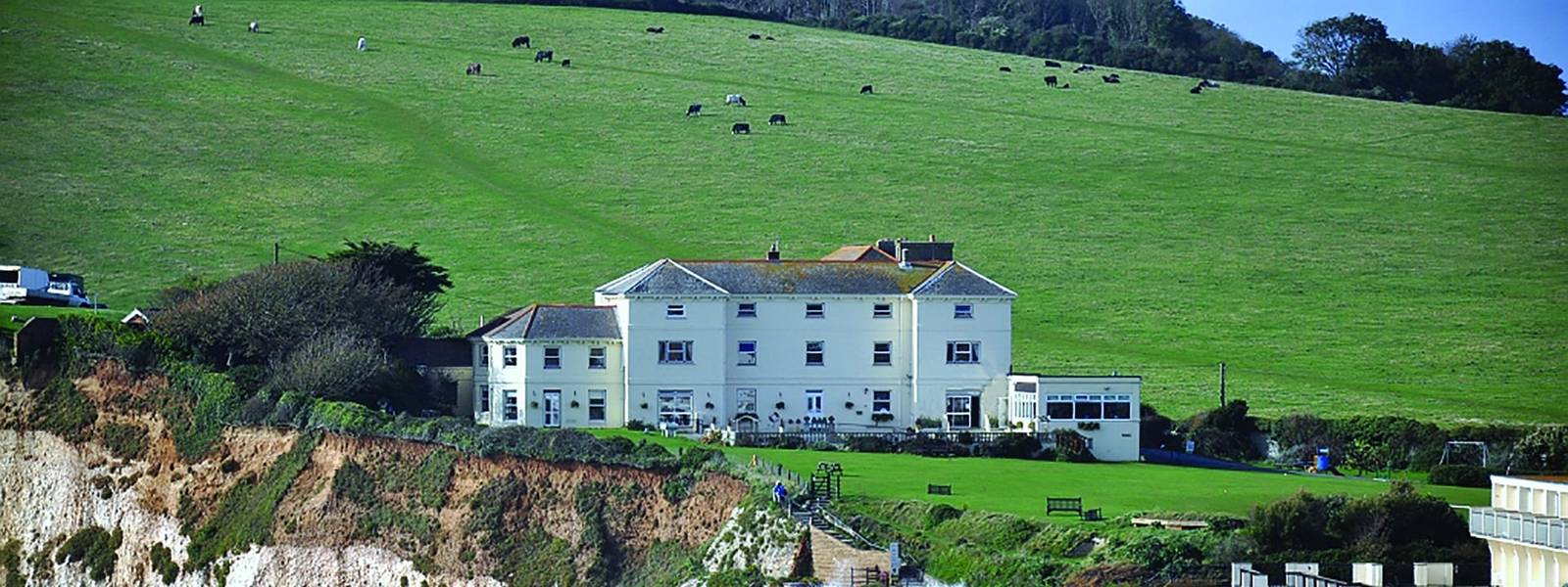Freshwater exterior no Dandelion.jpg