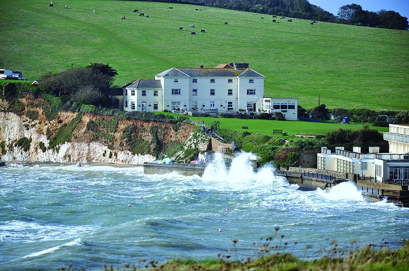 This image for Image Layouts addon