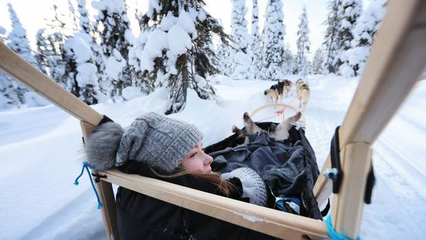 The Best of Lapland at Half Term
