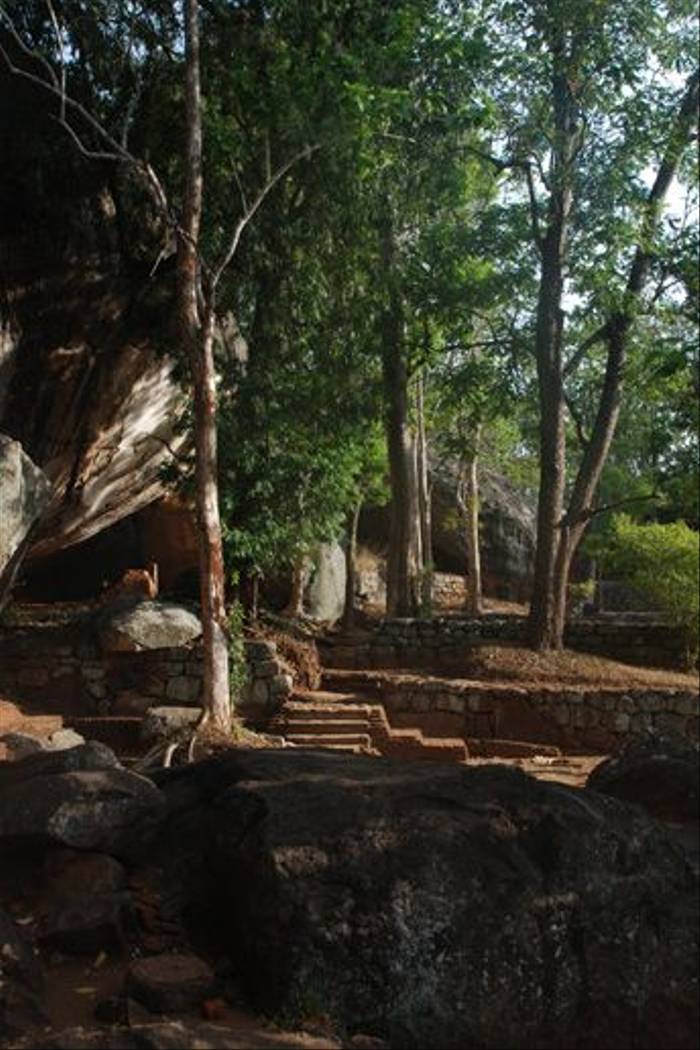 The start of the walk up Sigiriya Rock (Thomas Mills)