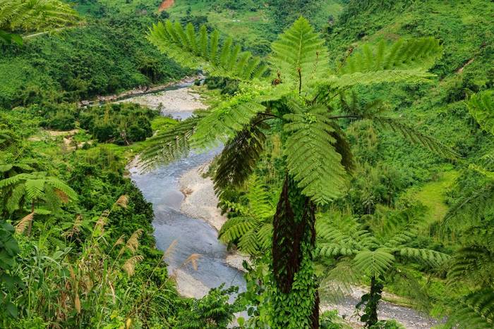 Viti Levu, Fiji