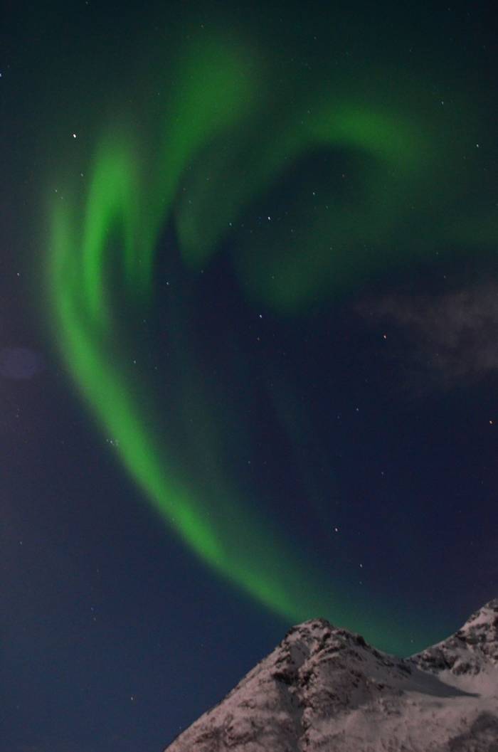 Northern Lights by D Phillips