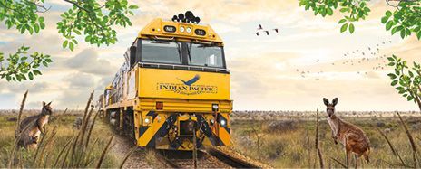 Australia Coast to Coast Adventure & New Zealand Cruise
