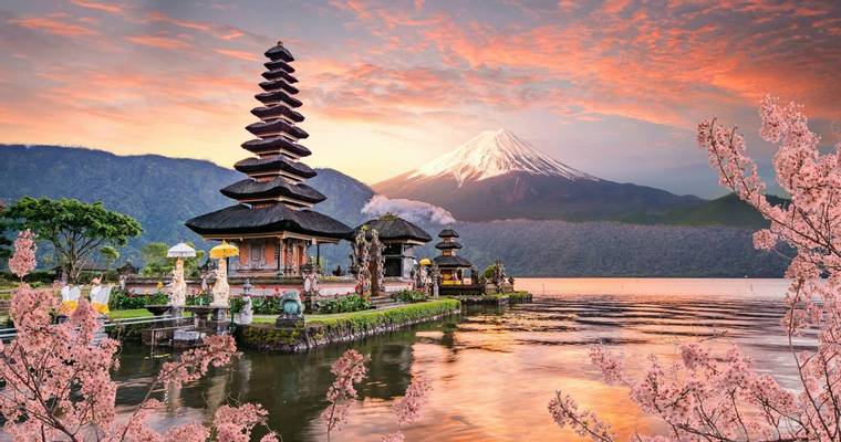 Bali & Mount Fuji Cherry Blossom.jpg
