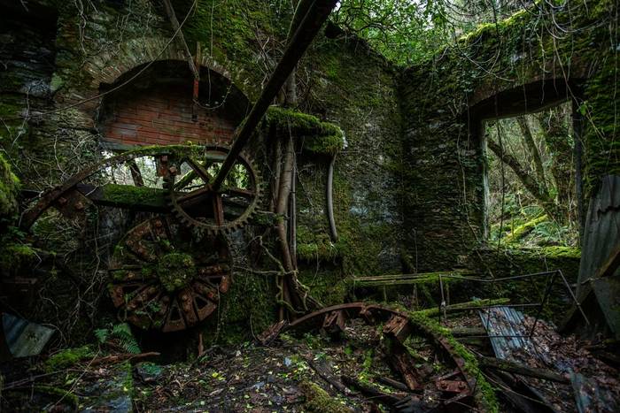 Abandoned mine habitat © Simone Giachello