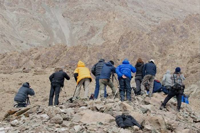 Naturetrek group searching for Snow Leopards! (Russell Scott)