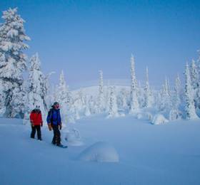 Snowshoes to the National Park and Arctic sauna and spa